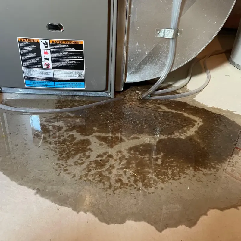 Appliance Leak Cleanup in Stony Prairie, OH